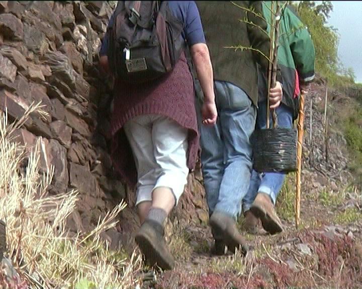 Вилла Kleines Winzerhauschen Бремм Номер фото