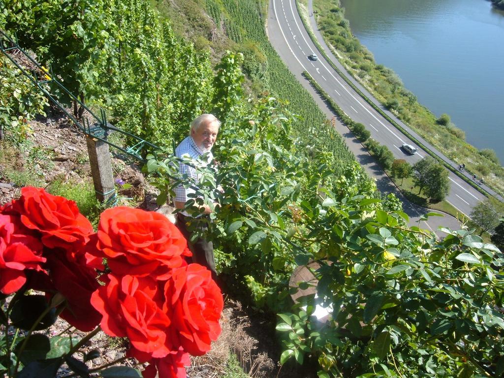 Вилла Kleines Winzerhauschen Бремм Номер фото