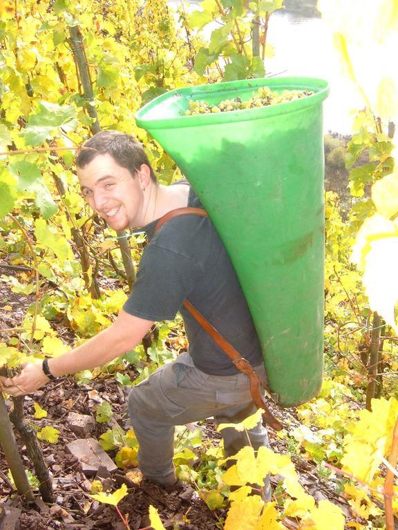 Вилла Kleines Winzerhauschen Бремм Номер фото