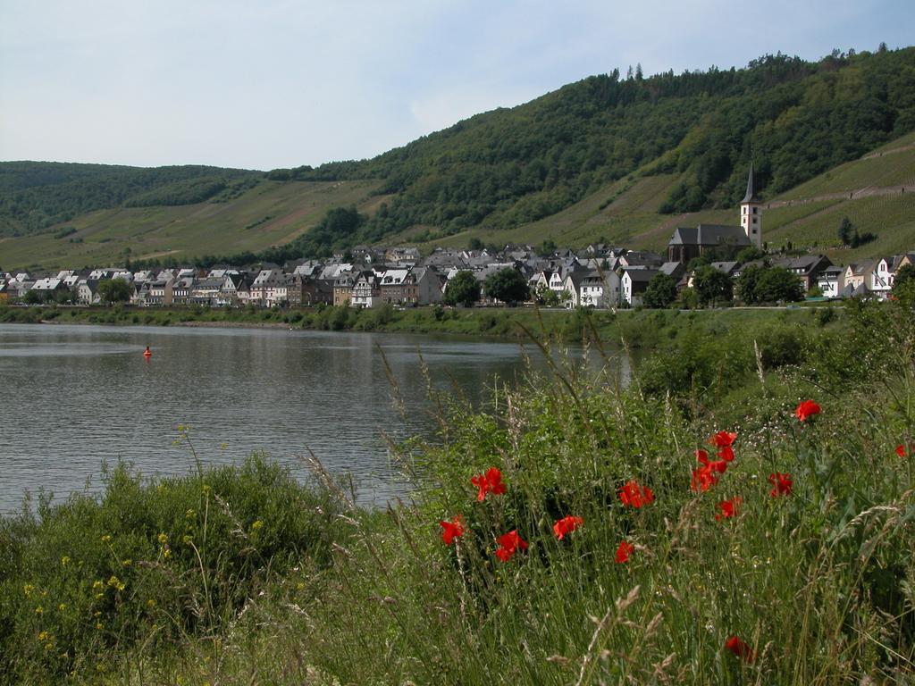 Вилла Kleines Winzerhauschen Бремм Номер фото